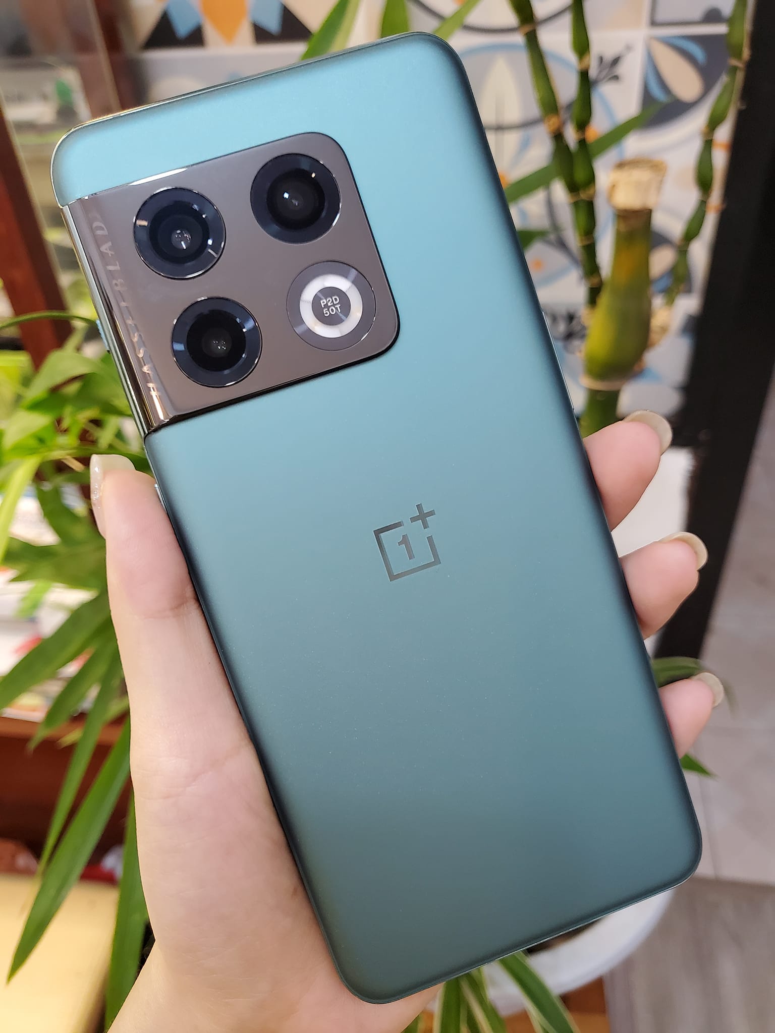 Điện thoại cũ Oneplus 10 Pro